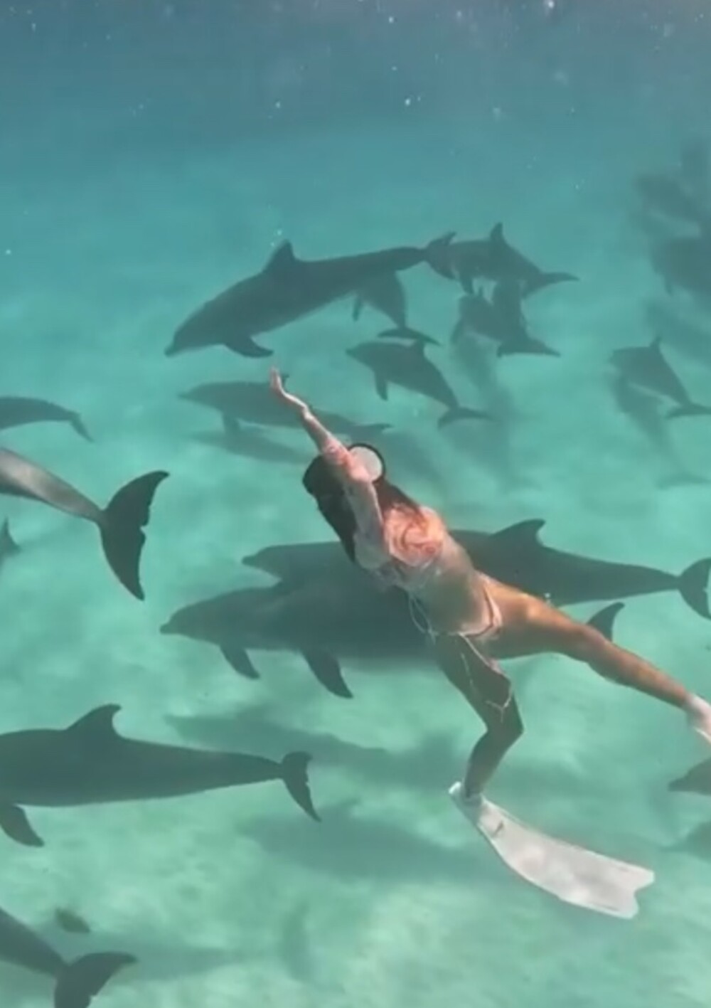 A swimmer above a pod of dolphins in shallow turquoise water